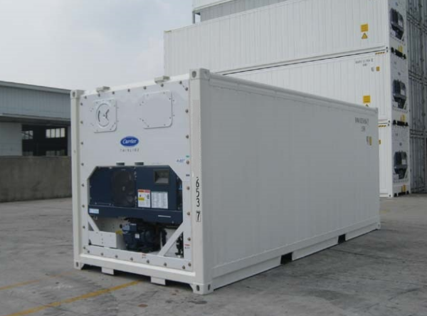 20ft reefer container